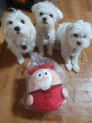 공팔리터님이 올린 리뷰 사진 2