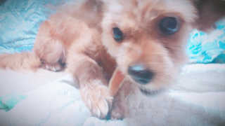 조태현님이 올린 리뷰 사진 4