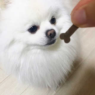 iamyourhappiness님이 올린 리뷰 사진 1