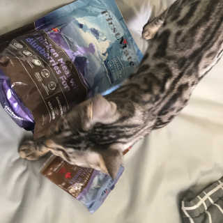 김지혜님이 올린 리뷰 사진 2
