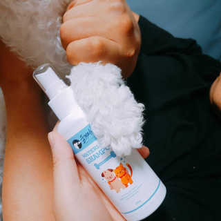 주여니이님이 올린 리뷰 사진 3