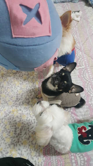 mie92님이 올린 리뷰 사진 4