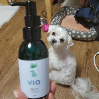 뽀오오옹님이 올린 리뷰 사진 3