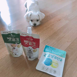 [빙그레] 에버그로 생유산균 1봉（10포입）+펫밀크2팩 — 5점을 준 리뷰어가 2019년 6월 올린 사용 사진