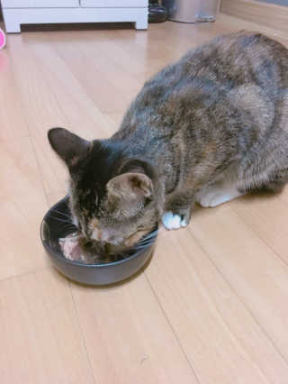 권소연님이 올린 리뷰 사진 2
