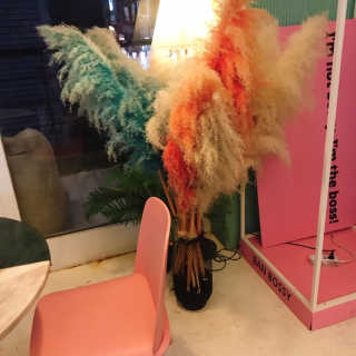 dasol님이 올린 리뷰 사진 1