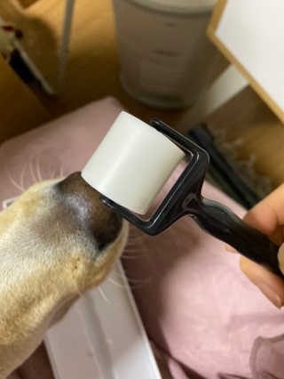 정봐기린님이 올린 리뷰 사진 3