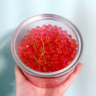 황도연님이 올린 리뷰 사진 1
