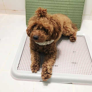 칸쵸님이 올린 리뷰 사진 1