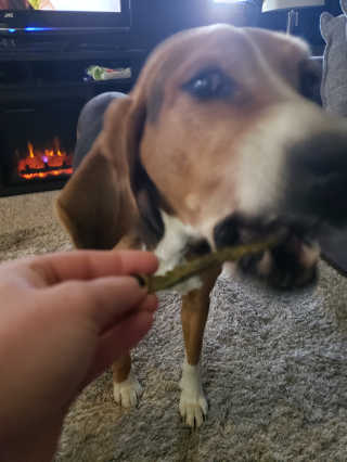 cchambers12님이 올린 리뷰 사진 1