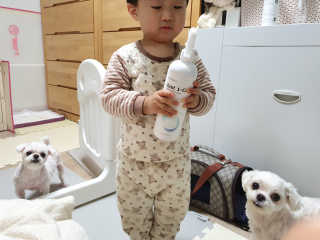 [펫토리아] 뚝딱케어 강아지 고양이 다목적세정제 — 5점을 준 리뷰어가 2020년 2월 올린 사용 사진