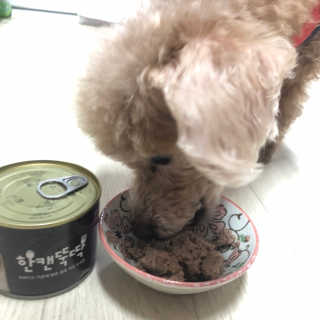 봄날님이 올린 리뷰 사진 2