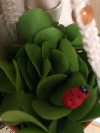 EarlyParrot님이 올린 리뷰 사진 4