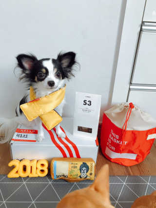 베이컨박스 — 4점을 준 리뷰어가 2018년 1월 올린 사용 사진