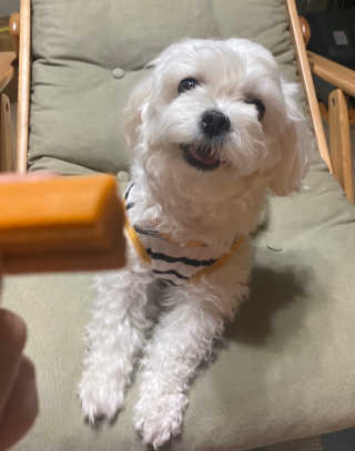 junny님이 올린 리뷰 사진 1