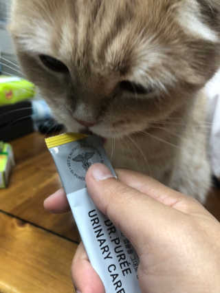 붉은여우달꼬리님이 올린 리뷰 사진 4