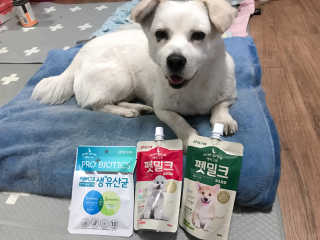[빙그레] 에버그로 생유산균 1봉（10포입）+펫밀크2팩 — 5점을 준 리뷰어가 2019년 5월 올린 사용 사진