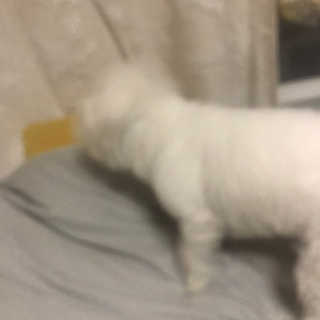 갱스님이 올린 리뷰 사진 3