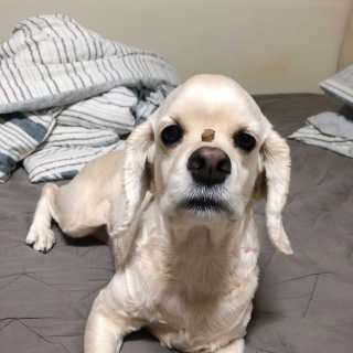 쏘옹님이 올린 리뷰 사진 2