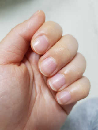 후니맘님이 올린 리뷰 사진 4