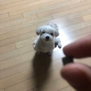 KimKyuTae님이 올린 리뷰 사진 2