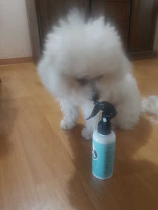 박혜님이 올린 리뷰 사진 2
