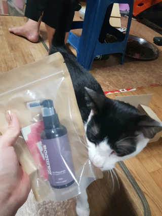 동그라미님이 올린 리뷰 사진 2