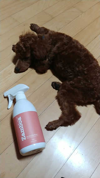 너구리양님이 올린 리뷰 사진 4