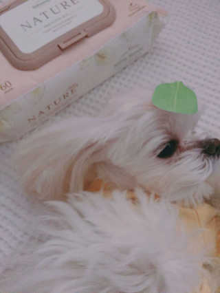 단발소녀님이 올린 리뷰 사진 1