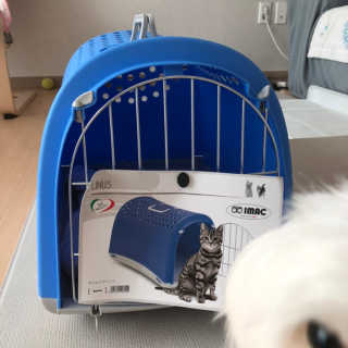 율리킴님이 올린 리뷰 사진 1