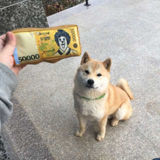 henni님이 올린 리뷰 사진 3