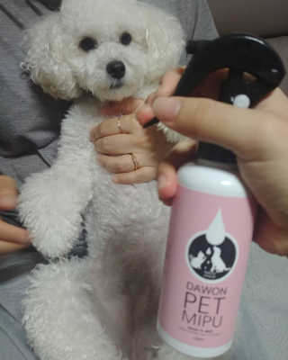 호두맘님이 올린 리뷰 사진 3