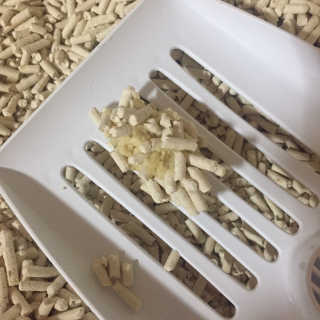 [펫토리아] BEST 고양이두부모래 6L 한삽뚝딱 — 5점을 준 리뷰어가 2019년 1월 올린 사용 사진
