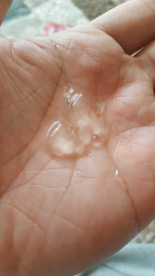 보크다님이 올린 리뷰 사진 4