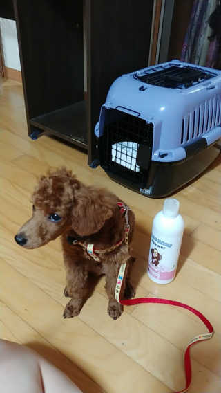 너구리양님이 올린 리뷰 사진 4