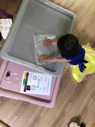 [펫토리아] 한판뚝딱 강아지 배변판 실속형,초대형 — 5점을 준 리뷰어가 2019년 6월 올린 사용 사진