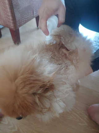 max님이 올린 리뷰 사진 3