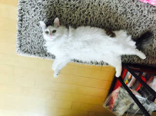 응삐님이 올린 리뷰 사진 2