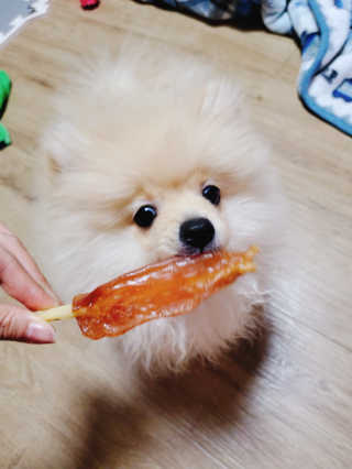 으콩님이 올린 리뷰 사진 4