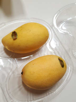 a남매둥이맘a님이 올린 리뷰 사진 3