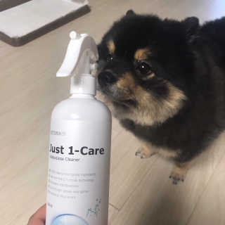 [펫토리아] 뚝딱케어 강아지 고양이 다목적세정제 — 5점을 준 리뷰어가 2020년 2월 올린 사용 사진