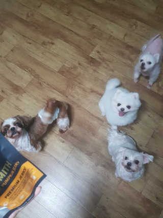 신블리님이 올린 리뷰 사진 1