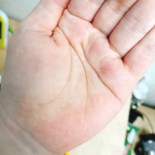 요르렛님이 올린 리뷰 사진 3
