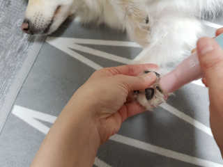 김지운님이 올린 리뷰 사진 3