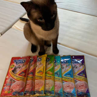 펫토리아 짜먹는 토로토로 고양이 파우치 간식 — 5점을 준 리뷰어가 2019년 6월 올린 사용 사진