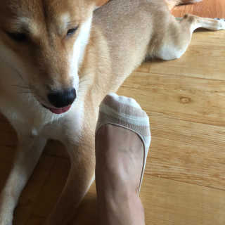 럽녜님이 올린 리뷰 사진 2