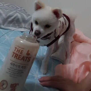 가영님이 올린 리뷰 사진 3