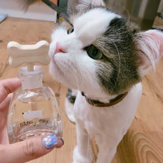 오!마이실리 오마이실리 반려동물 디퓨저 — 5점을 준 리뷰어가 2018년 6월 올린 사용 사진