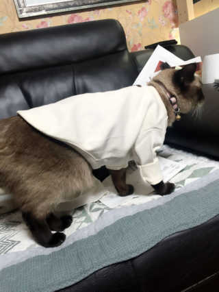 뿌뀨빵님이 올린 리뷰 사진 3