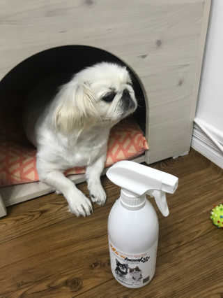 쏭님이 올린 리뷰 사진 3
